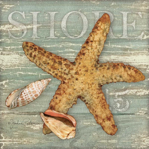 Beach Shells Starfish White Modern Wood Framed Art Print by Paton, Julie