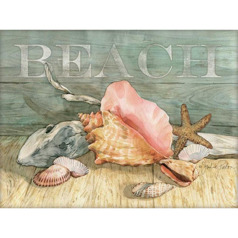 Beach Shells Still LIfe White Modern Wood Framed Art Print by Paton, Julie