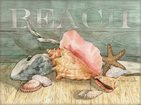 Beach Shells Still LIfe Black Ornate Wood Framed Art Print with Double Matting by Paton, Julie