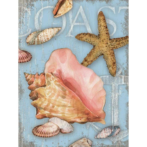 Beach Shells Coast Gold Ornate Wood Framed Art Print with Double Matting by Paton, Julie