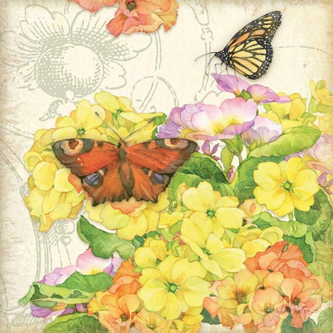 Primrose and Butterflies White Modern Wood Framed Art Print by Paton, Julie