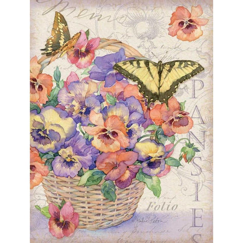 Pansies Folio White Modern Wood Framed Art Print by Paton, Julie