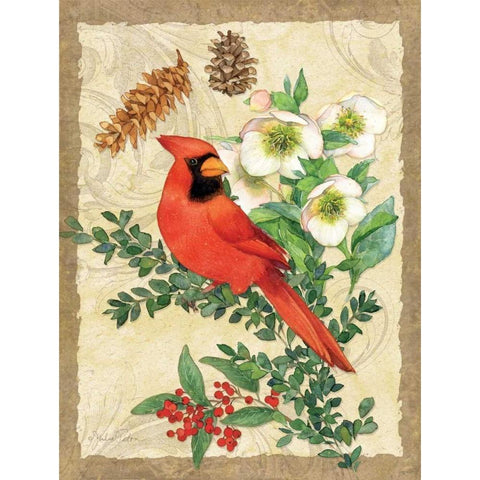 Holiday Cardinal White Modern Wood Framed Art Print by Paton, Julie