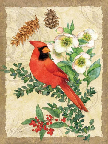 Holiday Cardinal White Modern Wood Framed Art Print with Double Matting by Paton, Julie