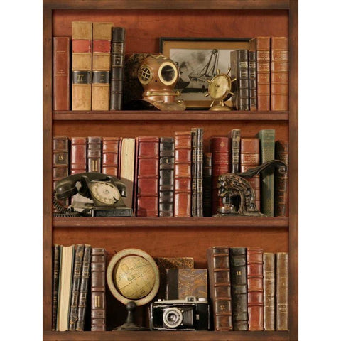 Librairie III Gold Ornate Wood Framed Art Print with Double Matting by Pela Design