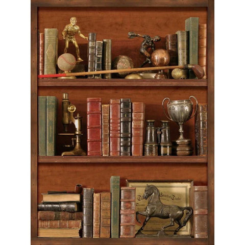 Librairie IV Gold Ornate Wood Framed Art Print with Double Matting by Pela Design