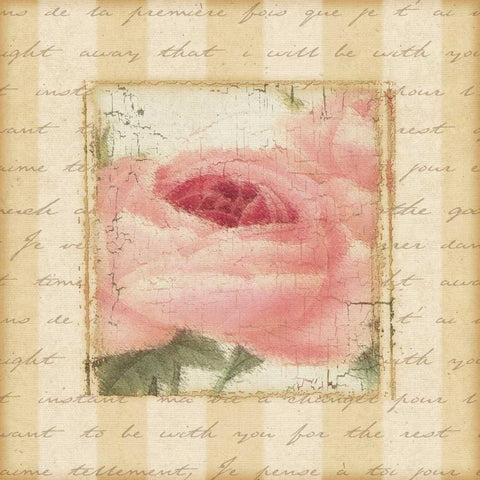 Rose and Romance I White Modern Wood Framed Art Print with Double Matting by Pela Design