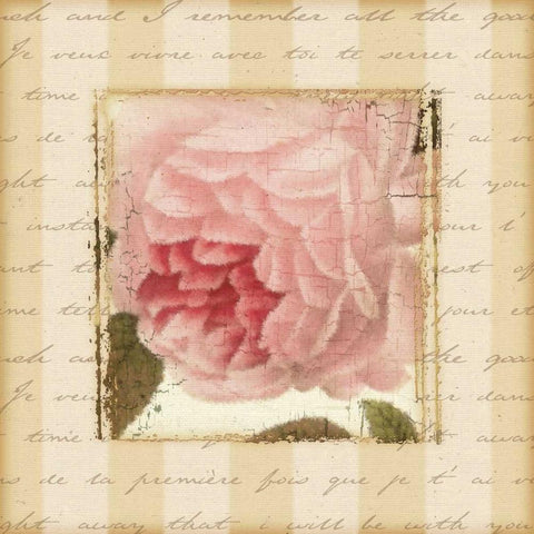 Rose and Romance II White Modern Wood Framed Art Print by Pela Design