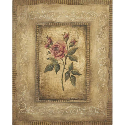 Savin Rose Black Modern Wood Framed Art Print with Double Matting by Poloson, Kimberly