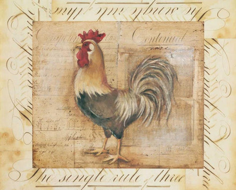 Rustic Farmhouse Rooster II White Modern Wood Framed Art Print with Double Matting by Poloson, Kimberly