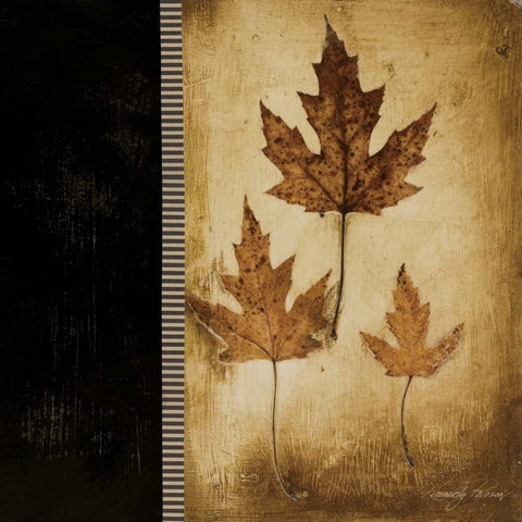 Maple Leaves III Black Modern Wood Framed Art Print with Double Matting by Poloson, Kimberly