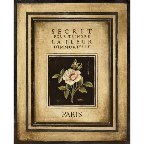 Les Fleurs de Paris I White Modern Wood Framed Art Print by Poloson, Kimberly