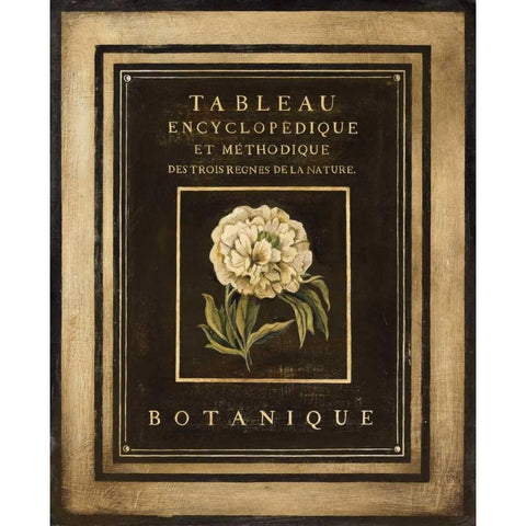 Les Fleurs de Paris II Gold Ornate Wood Framed Art Print with Double Matting by Poloson, Kimberly