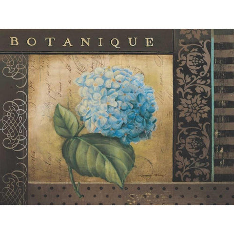 Botanique I Gold Ornate Wood Framed Art Print with Double Matting by Poloson, Kimberly