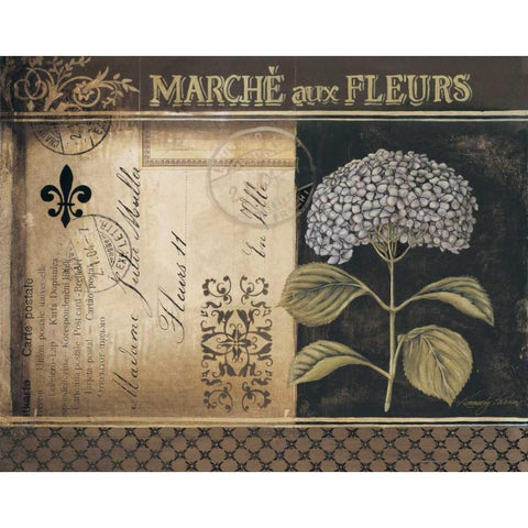 Botanique II Black Modern Wood Framed Art Print with Double Matting by Poloson, Kimberly