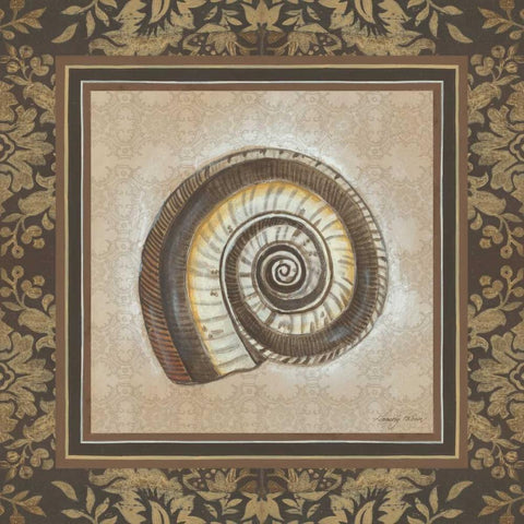 Shell Elegance III Black Ornate Wood Framed Art Print with Double Matting by Poloson, Kimberly