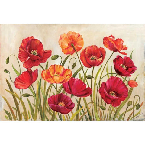 Poppies Black Modern Wood Framed Art Print with Double Matting by Poloson, Kimberly