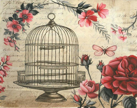 Birdcage and Blossoms White Modern Wood Framed Art Print with Double Matting by Poloson, Kimberly