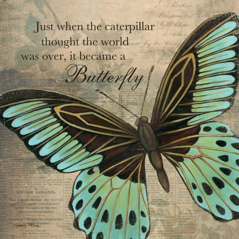 Butterfly II White Modern Wood Framed Art Print with Double Matting by Poloson, Kimberly