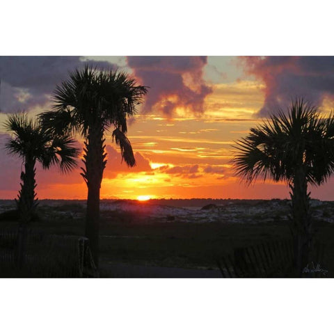 Sunset Palms I White Modern Wood Framed Art Print by Williams, Alex