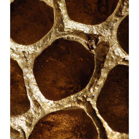 Lotus Pods I White Modern Wood Framed Art Print by Burkhart, Monika