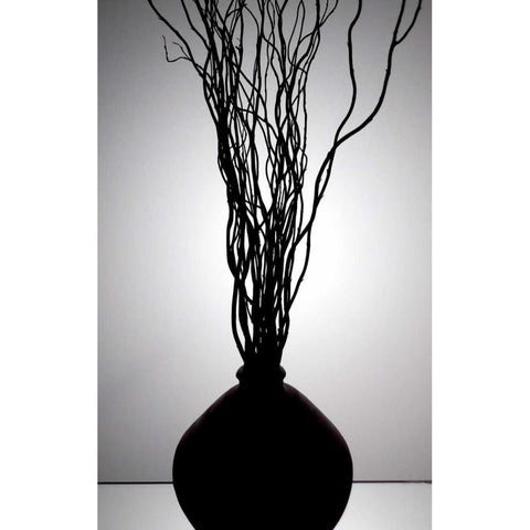 Still Life Silhouette I White Modern Wood Framed Art Print by Burkhart, Monika