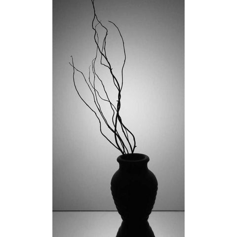 Still Life Silhouette II Black Modern Wood Framed Art Print with Double Matting by Burkhart, Monika