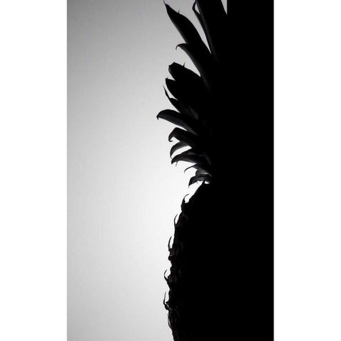 Pineapple Silhouette White Modern Wood Framed Art Print by Burkhart, Monika