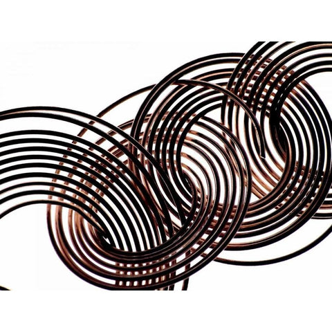 Intertwined VIII Black Modern Wood Framed Art Print by Burkhart, Monika