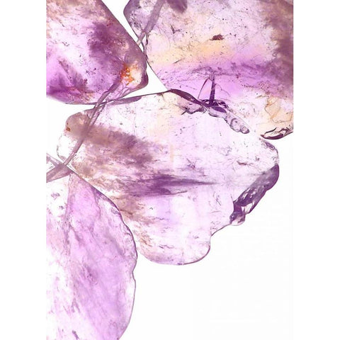 Purple II Black Modern Wood Framed Art Print with Double Matting by Burkhart, Monika