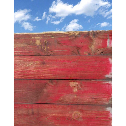 Over The Fence Black Modern Wood Framed Art Print by Burkhart, Monika