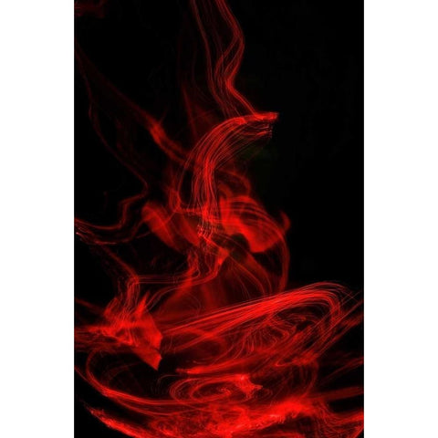 Flamenco II Black Modern Wood Framed Art Print with Double Matting by Burkhart, Monika