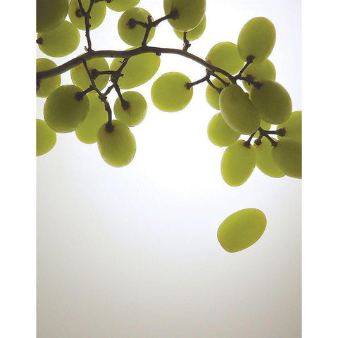 Grape Bunch I Black Modern Wood Framed Art Print by Burkhart, Monika