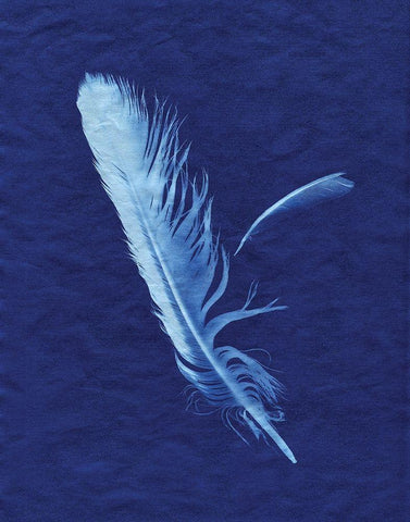 Indigo Feather I White Modern Wood Framed Art Print with Double Matting by Burkhart, Monika