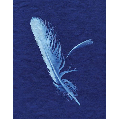 Indigo Feather I White Modern Wood Framed Art Print by Burkhart, Monika