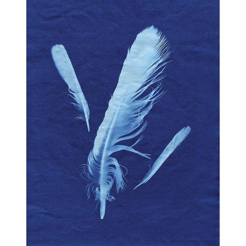 Indigo Feather II Gold Ornate Wood Framed Art Print with Double Matting by Burkhart, Monika