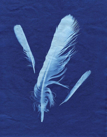 Indigo Feather II White Modern Wood Framed Art Print with Double Matting by Burkhart, Monika