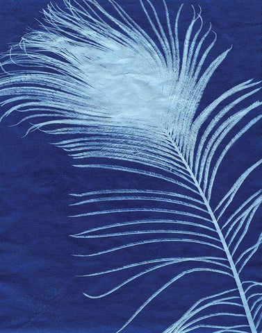 Indigo Feathers III White Modern Wood Framed Art Print with Double Matting by Burkhart, Monika