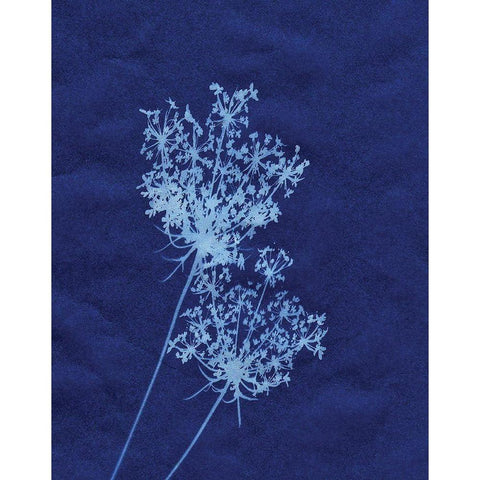 Indigo Flowers White Modern Wood Framed Art Print by Burkhart, Monika