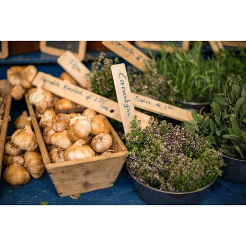 Farmers Market II White Modern Wood Framed Art Print by Berzel, Erin