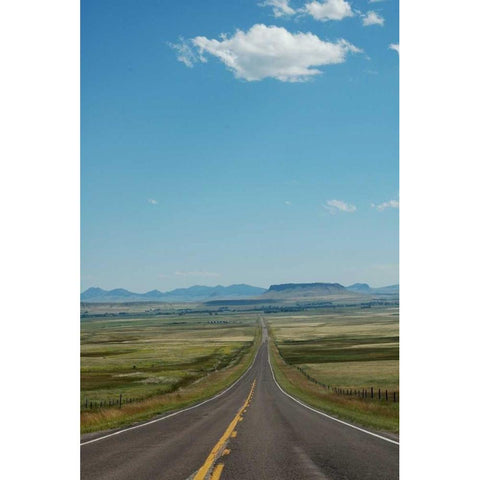 Mountain Summer V Black Modern Wood Framed Art Print by Berzel, Erin