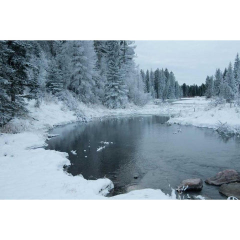 Winter on the Lake I Black Modern Wood Framed Art Print with Double Matting by Berzel, Erin