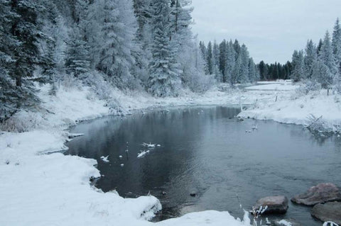 Winter on the Lake I White Modern Wood Framed Art Print with Double Matting by Berzel, Erin