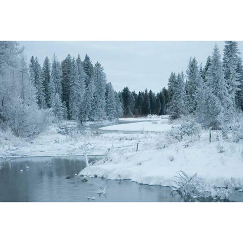 Winter on the Lake II White Modern Wood Framed Art Print by Berzel, Erin