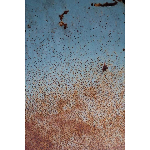 Rust on Antique Car II Black Modern Wood Framed Art Print by Berzel, Erin