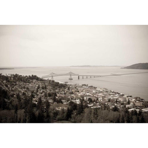 Astoria Vista White Modern Wood Framed Art Print by Berzel, Erin