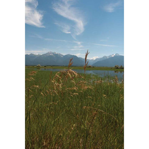 Mission Mountain Range White Modern Wood Framed Art Print by Berzel, Erin