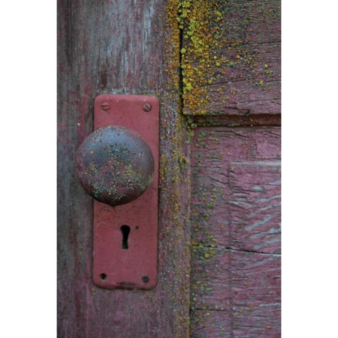 Barn Door Black Modern Wood Framed Art Print by Berzel, Erin