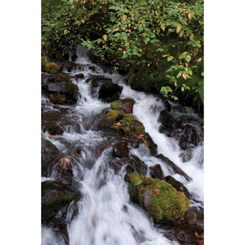 Wahkeena Falls I Black Modern Wood Framed Art Print with Double Matting by Berzel, Erin