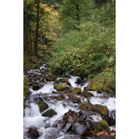 Wahkeena Falls II Black Modern Wood Framed Art Print with Double Matting by Berzel, Erin